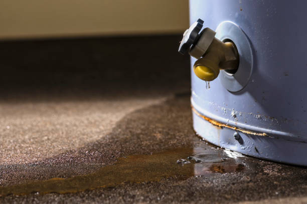 Best Carpet water damage restoration  in Clear Lake Shores, TX