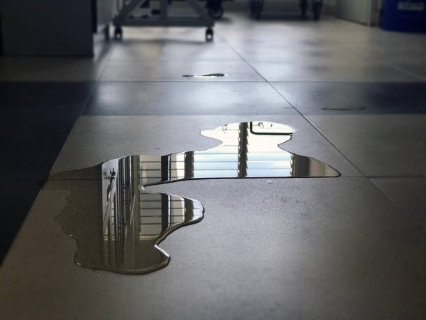 Best 24-hour water damage restoration  in Clear Lake Shores, TX