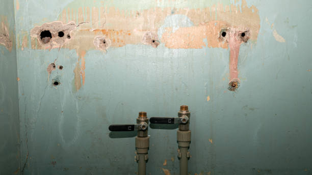 Best Water damage cleanup near me  in Clear Lake Shores, TX