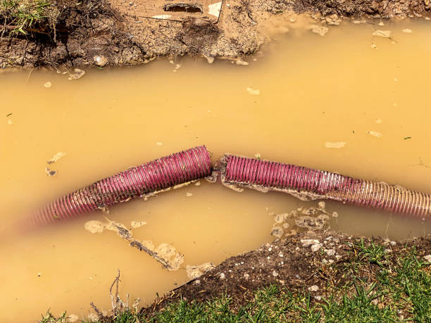 Best Water damage contractors near me  in Clear Lake Shores, TX